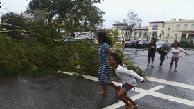 Tajfun vyvrací stromy po celé zemi