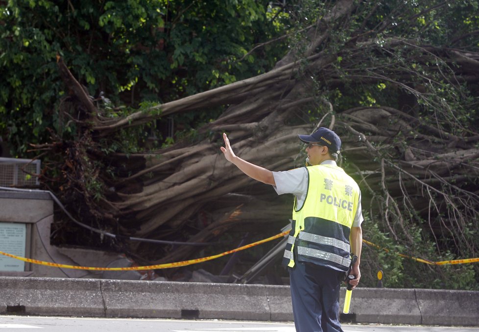 Policista řídí dopravu kolem stromu, který porazil tajfun Nesat