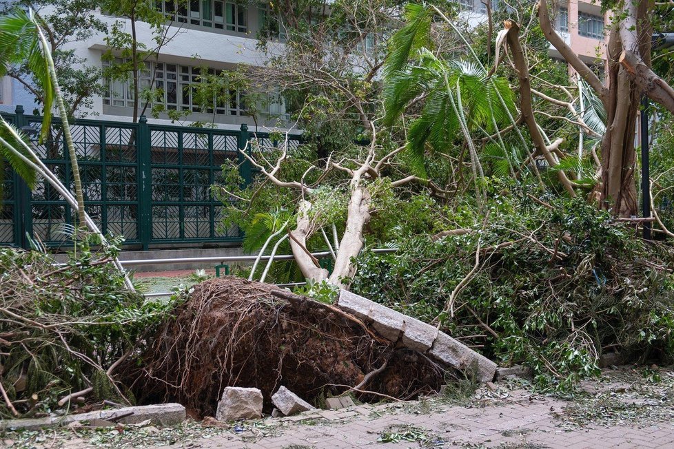 Tajfun může způsobit rozsáhlé škody a lidi může ohrozit na životě (ilustrační foto.)