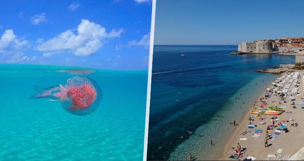 Strasti v dovolenkovém ráji: Čechy oblíbenou pláž trápí enormní počet medúz!