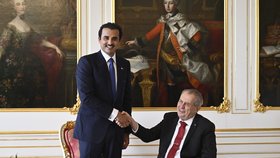 Prezident Miloš Zeman přijal na Pražském hradě katarského emíra Tamima bin Hamada Sáního (5. 1. 2022).