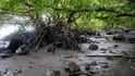 Ekologická katastrofa drtí Mauricius.