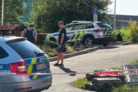 Sousedé o útoku v Tanvaldu: Krvavé běsnění i pronikavý křik