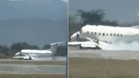 Letadlo v Tanzanii srazilo při vzletu zebru, muselo pak nouzově přistát