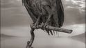 Když v jezeře Natron zemře zvíře, je dokonale zachováno v podobě, která připomíná zkamenělinu