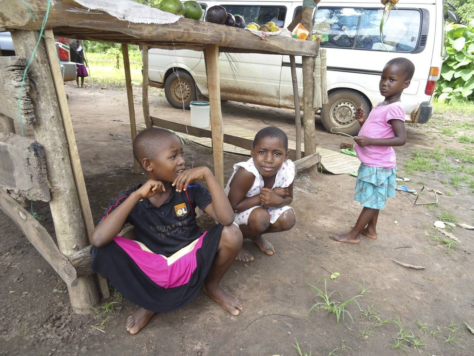 Tanzanií na vozíku a traktorem