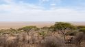 Tanzanie, Serengeti
