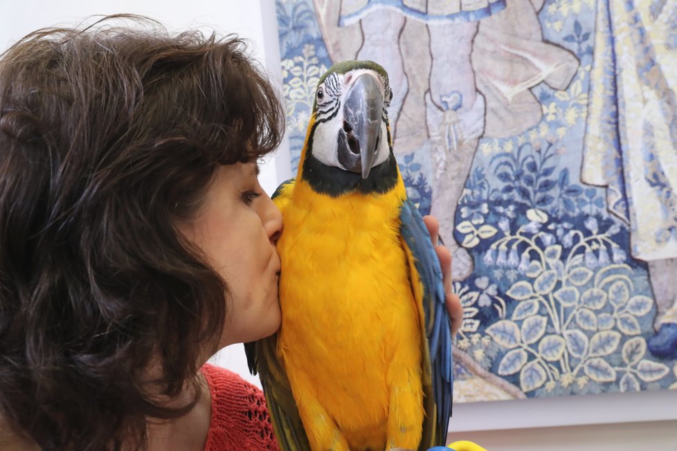 Papoušek Bucky se zakladatelkou společnosti Laguna, která se stará o papoušky s nepříliš šťastnými životními zkušenostmi.