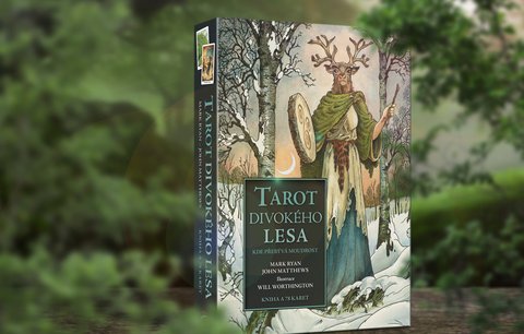 Recenze: Tarot divokého lesa vás povede tajemnou cestou poznání