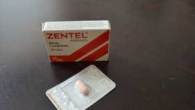 Speciální léky, které musí pacienti napadení liščí tasemnicí užívat do konce života přijdou ročně na 70 tisíc korun