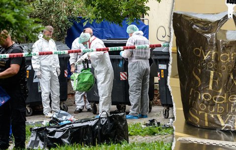 Brutálně ubité dítě (†1 den) z popelnice: Zabalili ho do tašky "sexy dynamit"