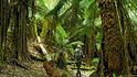 Díky stromovým kapradinám na nás některé zdejší pralesy působily vyloženě tropicky