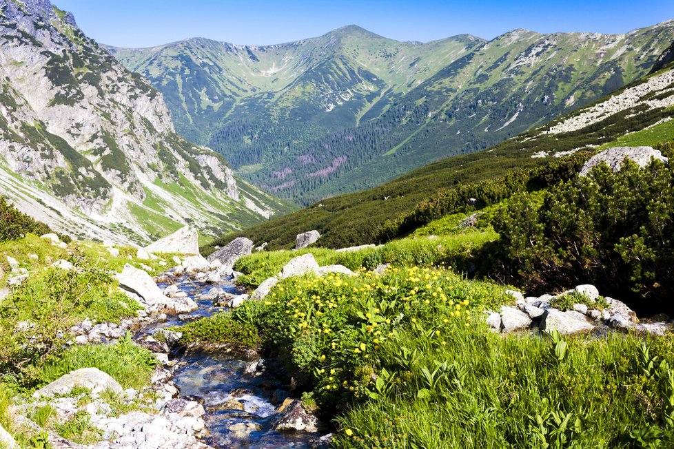 Vydatný déšť způsobil na severu Slovenska lokální záplavy, ve Vysokých Tatrách voda poškodila několika turistických tras, které byly uzavřeny. (Ilustrační foto)