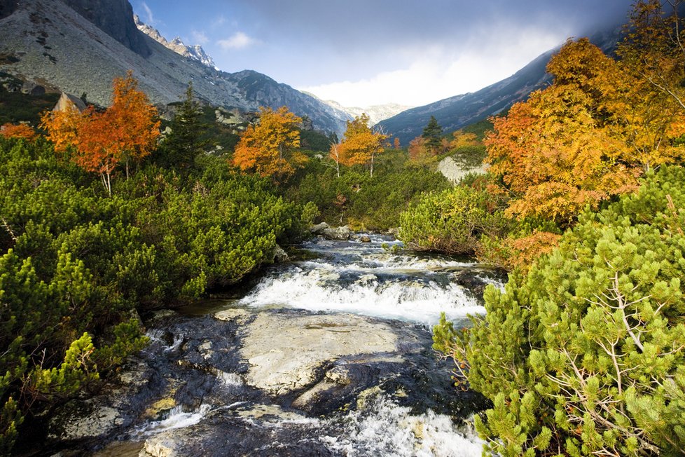 Tatry