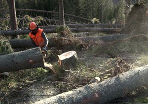 Vítr v Tatrách polámal tisíce stromů, škody se budou likvidovat měsíce.