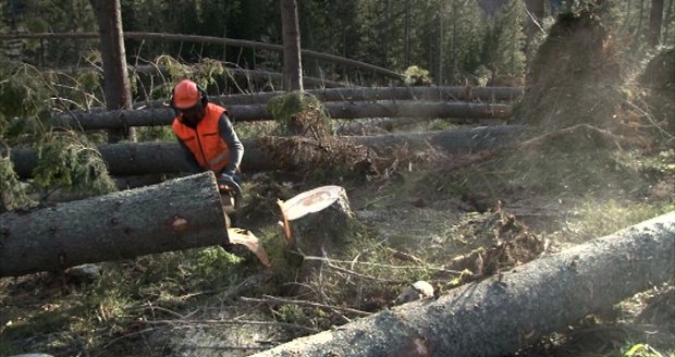 VIDEO: V Tatrách o víkendu zuřila vichřice, vyvrátila přes osm tisíc stromů