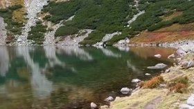 Drzá liška ukradla turistům svačinu.