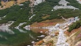 Drzá liška ukradla turistům svačinu.