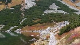 Drzá liška ukradla turistům svačinu.