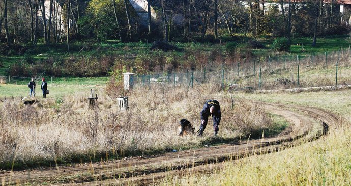 Desítky metrů o místa střelby na vůz se dvěma zločinci hledají policisté se služebními psy kulky ze zbraní a nábojnice.