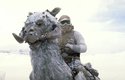 Tauntaun