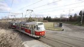 Čtvrtek 13. února: Žena zastřelená v tramvaji zemřela rovněž ve čtvrtek.