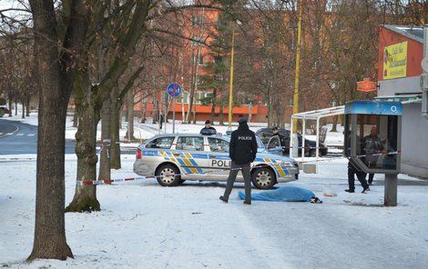 Taxikář zkolaboval a na místě zemřel.