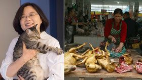 V řadě asijských zemích je konzumace psů a koček běžná, Tchajwan ji nyní jako první zakázal.