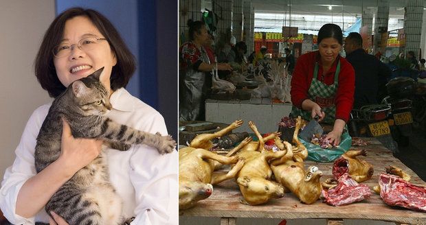 Tchaj-wan zakáže pojídání psů a koček. Řezníky čeká vězení a zostuzení