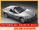 Corvette Cabrio – Orkán ve vlasech