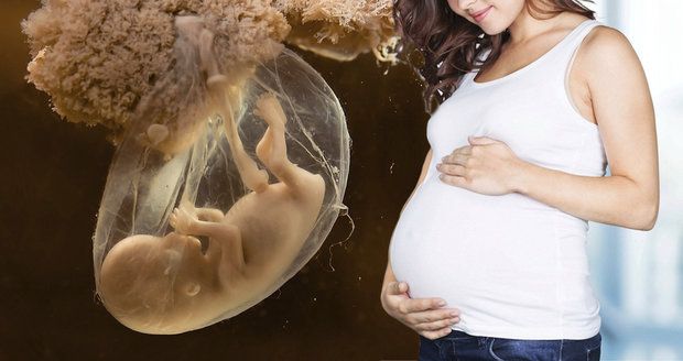 Další komplikace při záměně embryí: Těhotná je jen jedna ze dvou žen