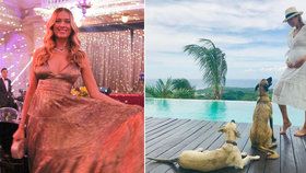 Topmodelka Petra Němcová (40) čeká miminko: Je to božský dar! jásá na instagramu tři týdny po svatbě