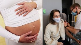 Ženy mají obavy ze ztráty plodnosti způsobené vakcínou proti koronaviru