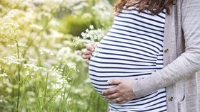 Těhotné ženy by podle studie dánských vědců neměly konzumovat tolik lepku, jinak se u jejich dětí objeví cukrovka 1. typu, ukázal výzkum (ilustrační foto)