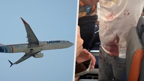 Drama na palubě letu do Tel Avivu: Pobodání a pokus o únos?! Zasahovali pasažéři, Izraelci mluví o terorismu!