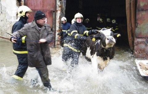 Farmářka je kvůli povodni na mizině!