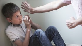 Tělesné tresty vůči dětem jsou v Česku takovým tolerovaným  domácím násilím