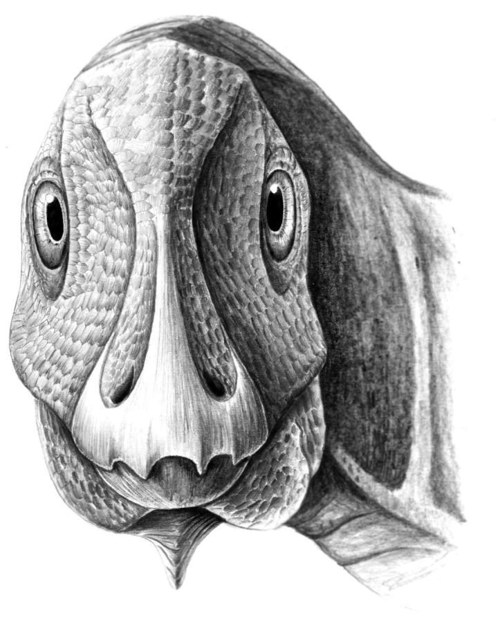 Telmatosaurus transsylvanicus