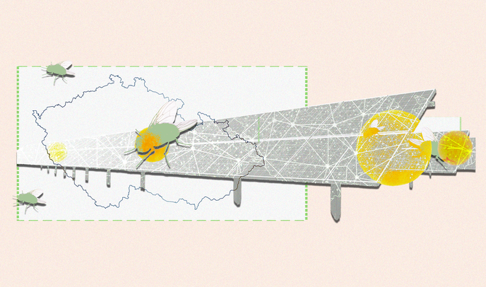 Energetická společenství hrají důležitou roli v rozvoji obnovitelných zdrojů a transformaci české energetiky, na jejich vznik proto přispívá i stát. Energetická společenství hrají důležitou roli v rozvoji obnovitelných zdrojů a transformaci české energetiky, na jejich vznik proto přispívá i stát.