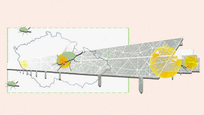 ČESKÁ ENERGETICKÁ SPOLEČENSTVÍ SE UČÍ ZA POCHODU, STÁVAJÍCÍ SYSTÉM MÁ SVÉ MOUCHY ČESKÁ ENERGETICKÁ SPOLEČENSTVÍ SE UČÍ ZA POCHODU, STÁVAJÍCÍ SYSTÉM MÁ SVÉ MOUCHY
