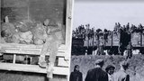 Hororový transport smrti u Nýřan: Hladoví vězni jedli i trávu u kolejí, uprchlíky nacisté umlátili klacky