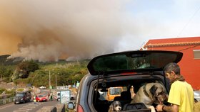 Požáry na Tenerife (srpen 2023)