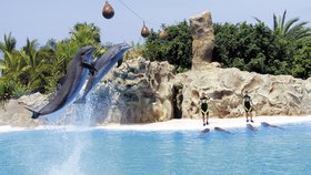 Tenerife je malebný ostrov.