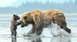 Medvědi jsou na Aljašce velkým turistickým lákadlem.