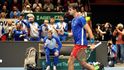 Postup v Davis Cupu proti Švédsku přišel už po čtyřhře