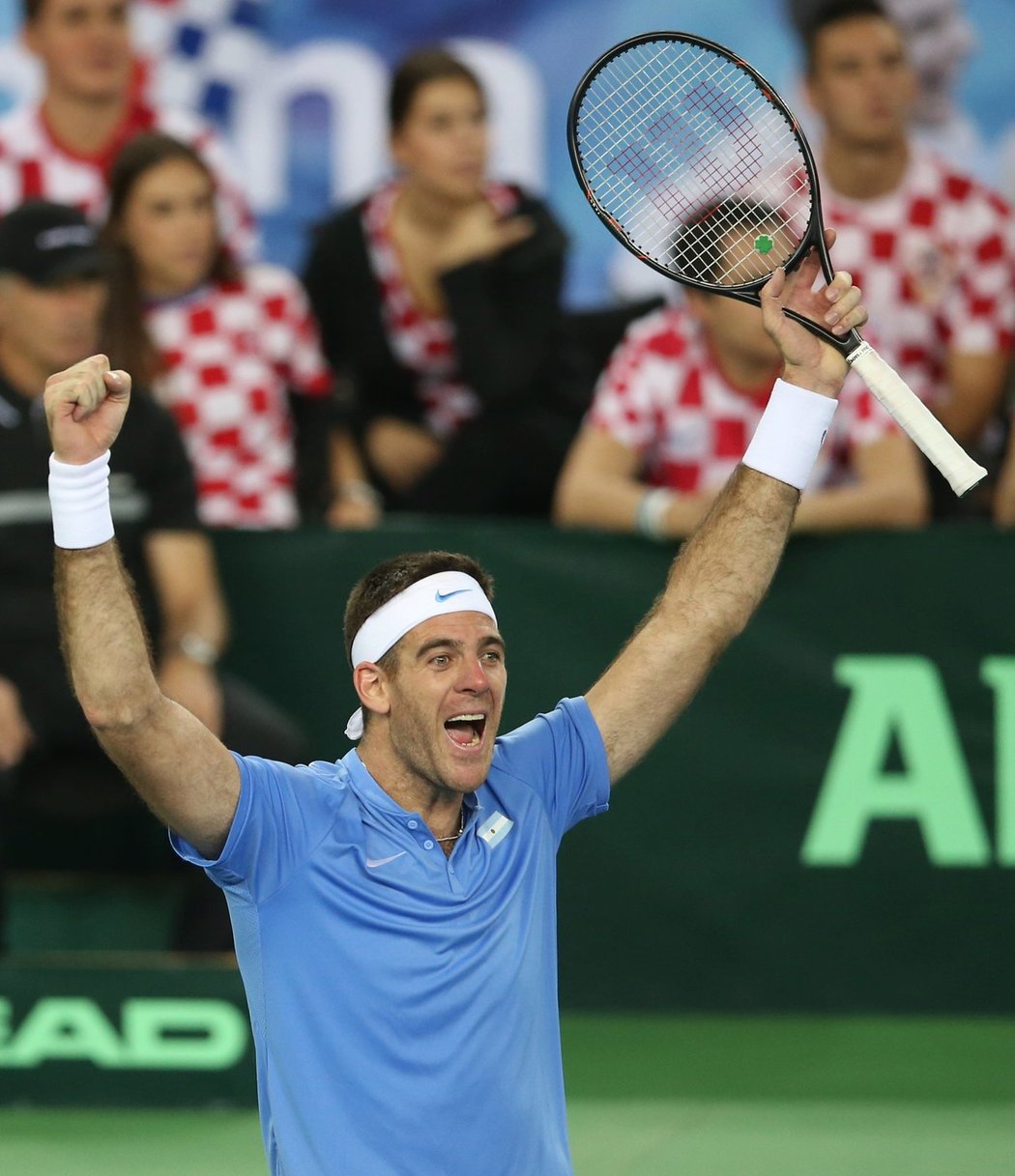 Juan Martin Del Potro předvedl neuvěřitelný obrat