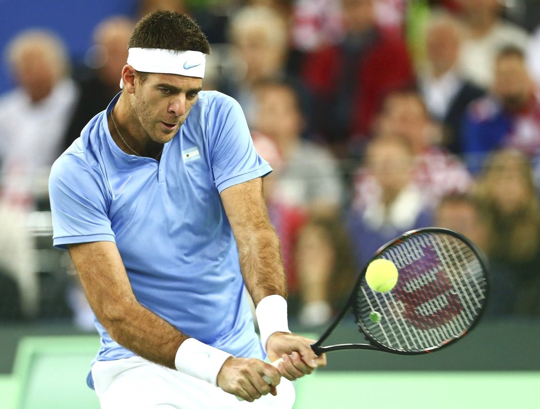 Juan Martin del Potro na returnu