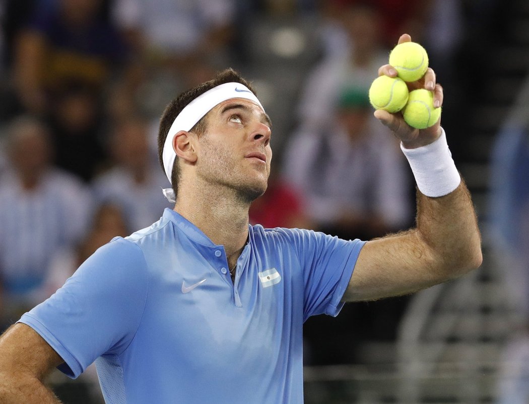 Juan Martin Del Potro se skvěle vrátil do zápasu