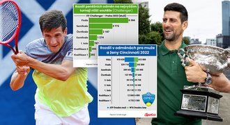 Tenisové výdělky: hvězdy vs. ti, co prodělají. A rovnost je jen někde