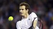 Andy Murray bude bojovat o svůj první titul z Australian Open